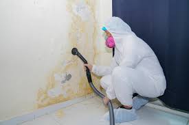 Mold Remediation for Rental Properties in Marshfield, MO